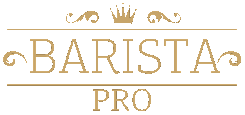 Αναψυκτικά – Χυμοί – Ροφήματα – Σιρόπια - Barista Pro