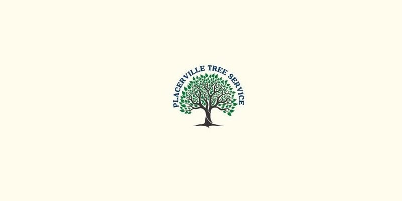 Placerville Tree Service