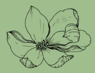 Magnolia Psychiatric Services