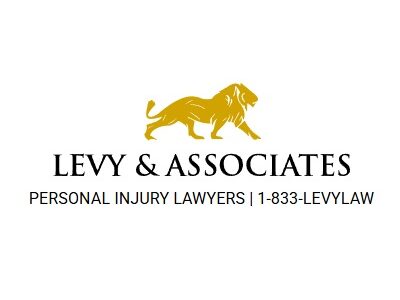 Levy & Associates