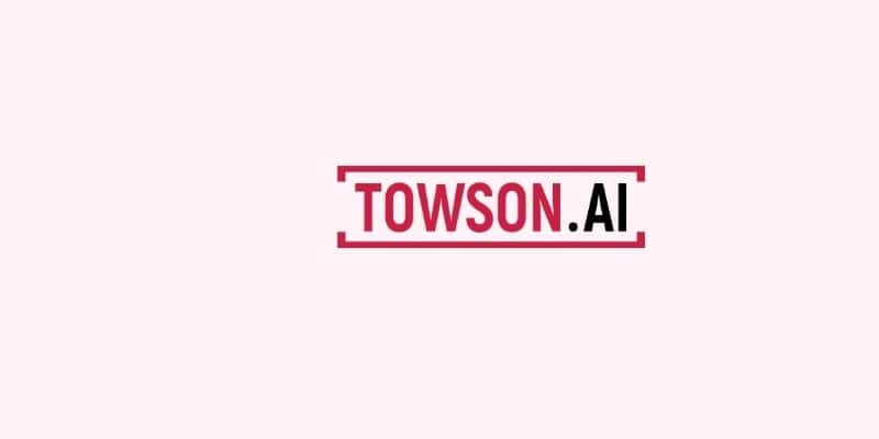Towson Nederland BV