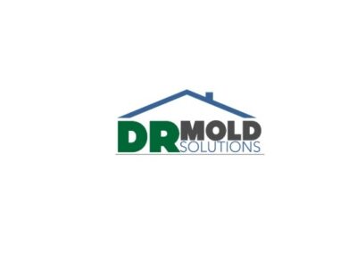 DR Mold Solutions